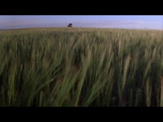 wasteland. harvest days. tree of life. terrence malick - the great american recluse