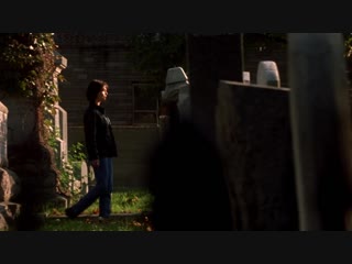 echoes ominous voices stir of echoes 1999. 720p