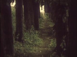 alexander sokurov. a lonely man's voice. 1978