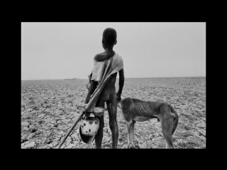 salt of the earth - wim wenders 2014