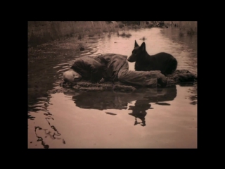 andrei tarkovsky, cinema of the soul