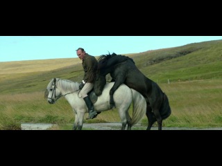 trailer: about horses and people / hross oss / benedikt erlingsson, 2013 (drama, romance, comedy)