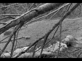 maiden spring / jungfruk llan / ingmar bergman, 1960 (drama, crime)